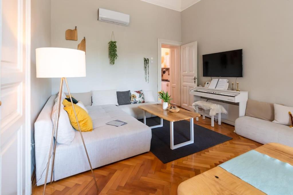 No.8: Lovely & Cosy 3-Room Heart Of The City Timișoara Zewnętrze zdjęcie