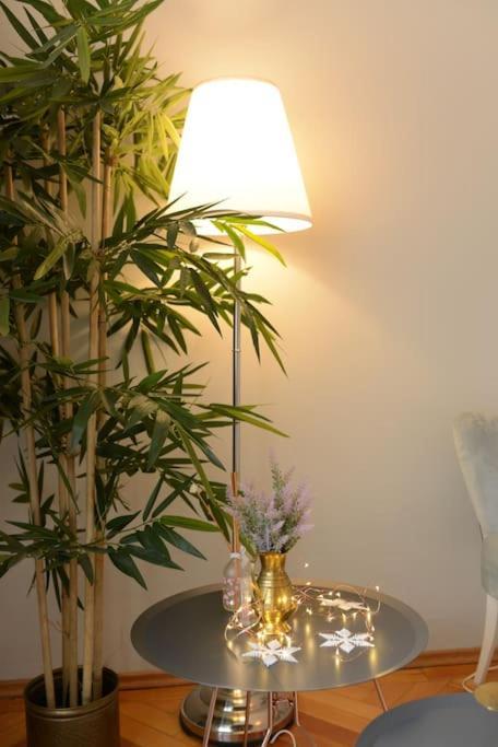 No.8: Lovely & Cosy 3-Room Heart Of The City Timișoara Zewnętrze zdjęcie